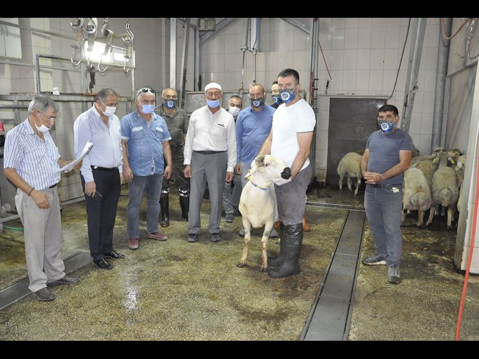 KURBANLARIMIZ GÜRÜN DE KESİLEREK  DAĞITILMIŞTIR