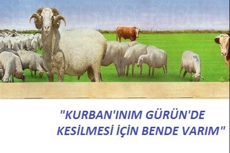 Kurbanlarımız Gürün 'e