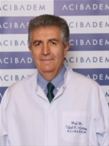 Prof. Dr. UFUK KEMAL GÜLSOY