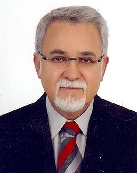 Prof. Dr. SELÇUK BÖLÜKBAŞI