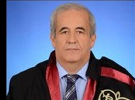 Prof. Dr. DERVİŞ ÖZÇELİK